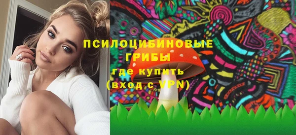 ALPHA PVP Куйбышев