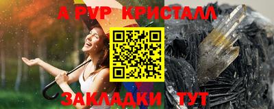 шишки Изобильный