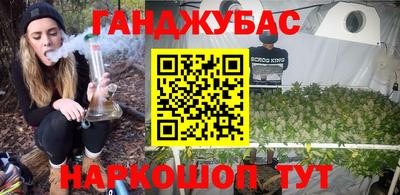 шишки Изобильный