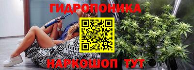 шишки Изобильный