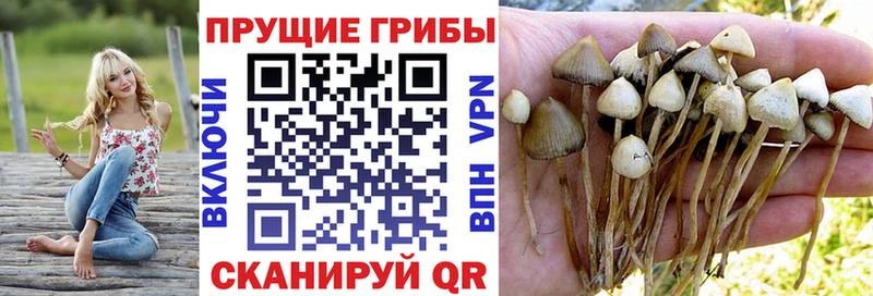 OMG вход Сухой Лог Галлюциногенные грибы GOLDEN TEACHER