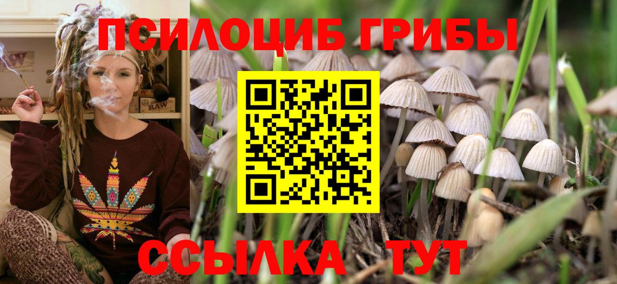 Галлюциногенные грибы GOLDEN TEACHER  Вход с VPN  Псилоцибиновые грибы GOLDEN TEACHER  Сухой Лог 